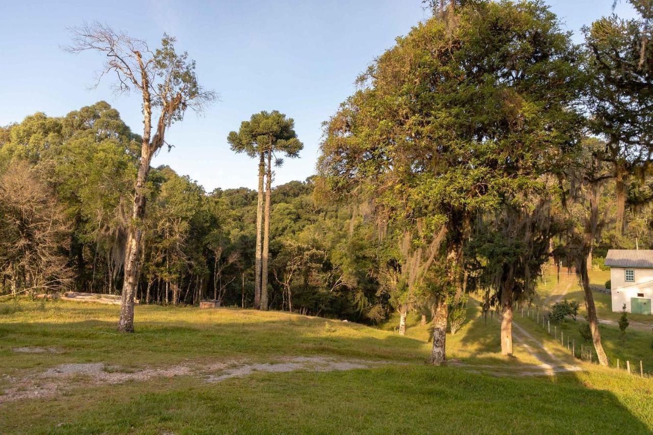 Вілла Locar-In Gramado - Chacara Bela Vista Екстер'єр фото